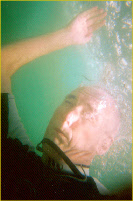 wp1bef2b5d_0f.jpg