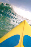 wp45b4df10_0f.jpg