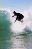 wp8dc68ae2_0f.jpg