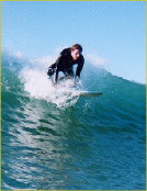 wp93419490_0f.jpg