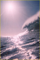 wpe5fe3368_0f.jpg